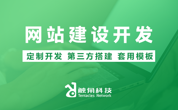 网站建设开发 网站建设开发