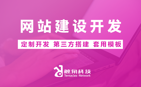 网站建设开发