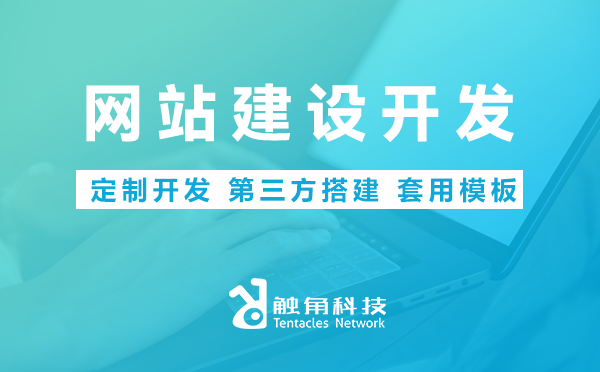 网站建设开发 网站建设开发