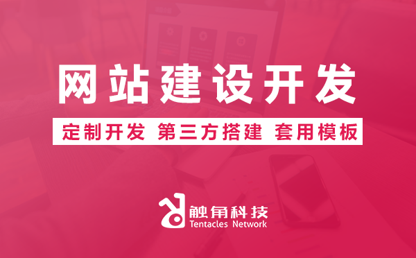 网站建设开发