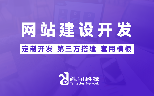 网站建设开发