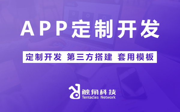 APP定制开发