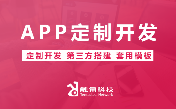 APP定制开发