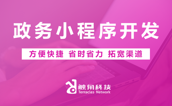 政务小程序开发
