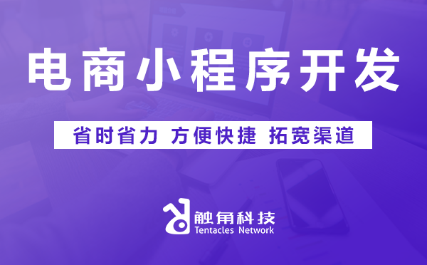 电商小程序开发