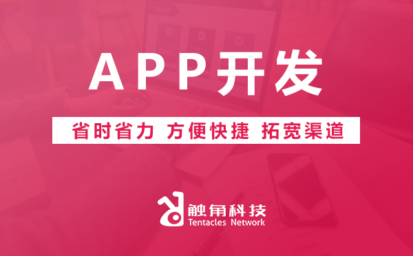 APP开发