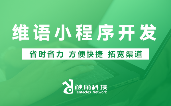 维语小程序开发 维语小程序开发