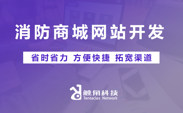 消防商城网站开发