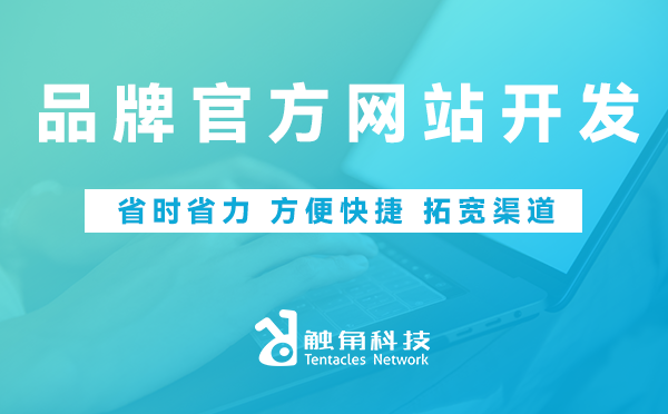 品牌官方网站开发