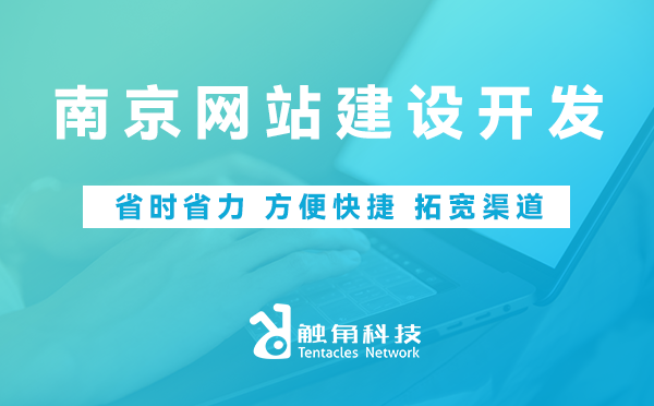 南京网站建设开发