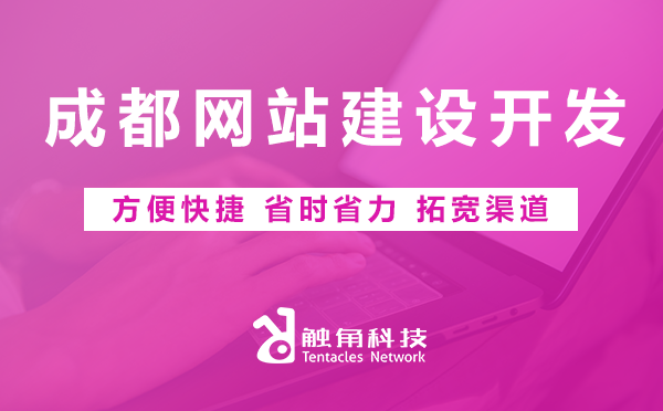 成都网站建设开发