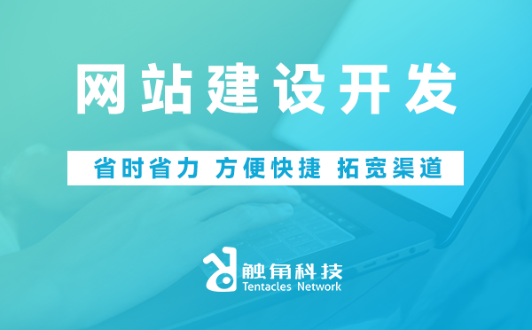 网站建设开发
