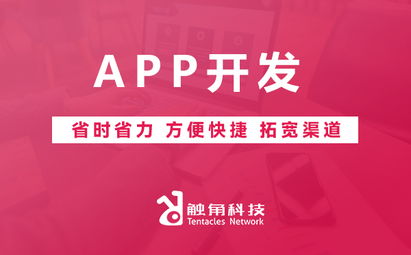 APP开发
