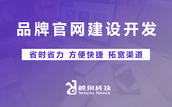 品牌官网建设开发