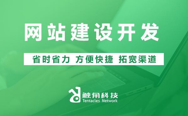 网站建设开发