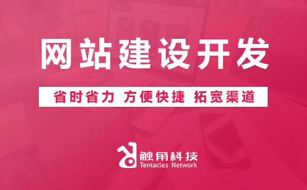 网站建设开发