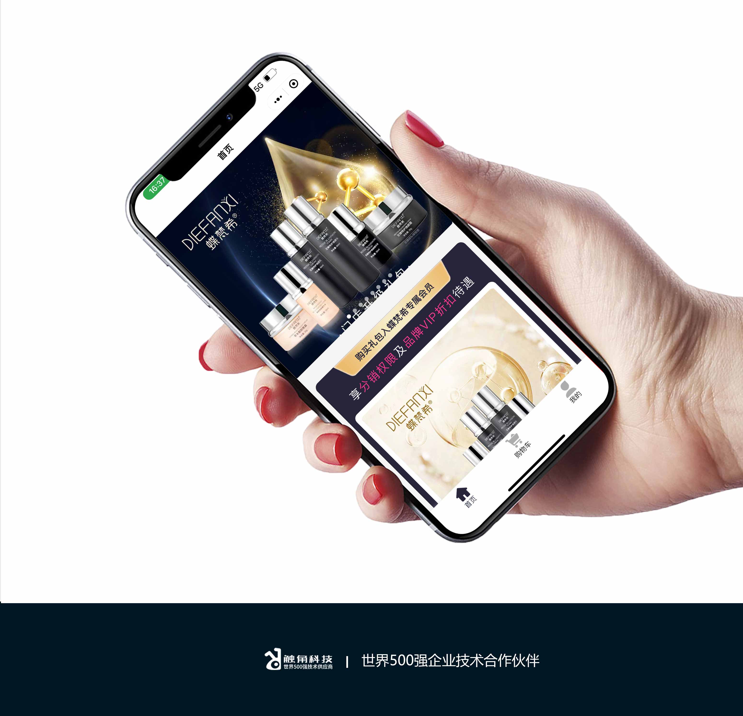 蝶梵希小程序开发