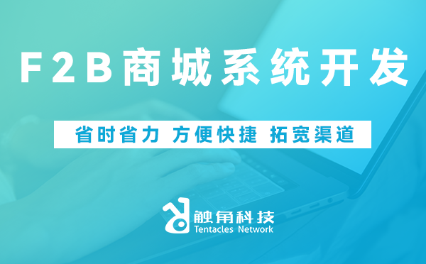 F2B商城系统开发