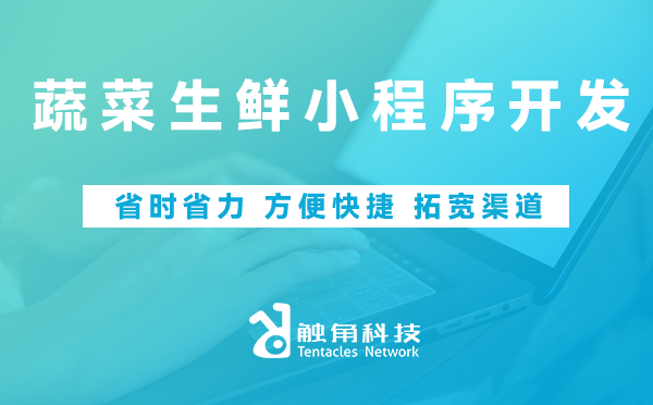 蔬菜生鲜小程序开发