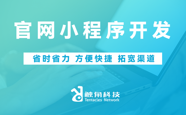 官网小程序开发 官网小程序开发