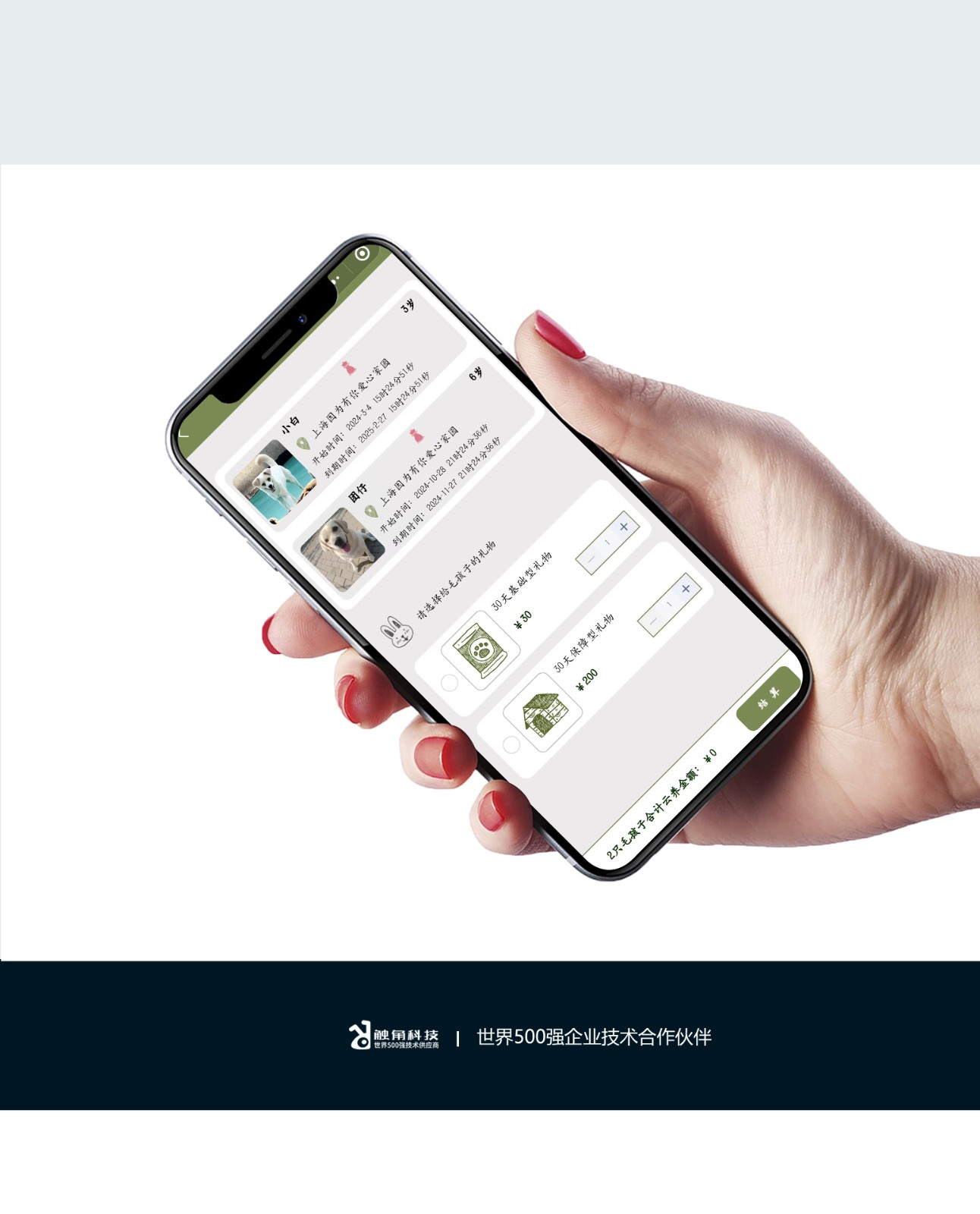 云鲸和官网小程序案例模板