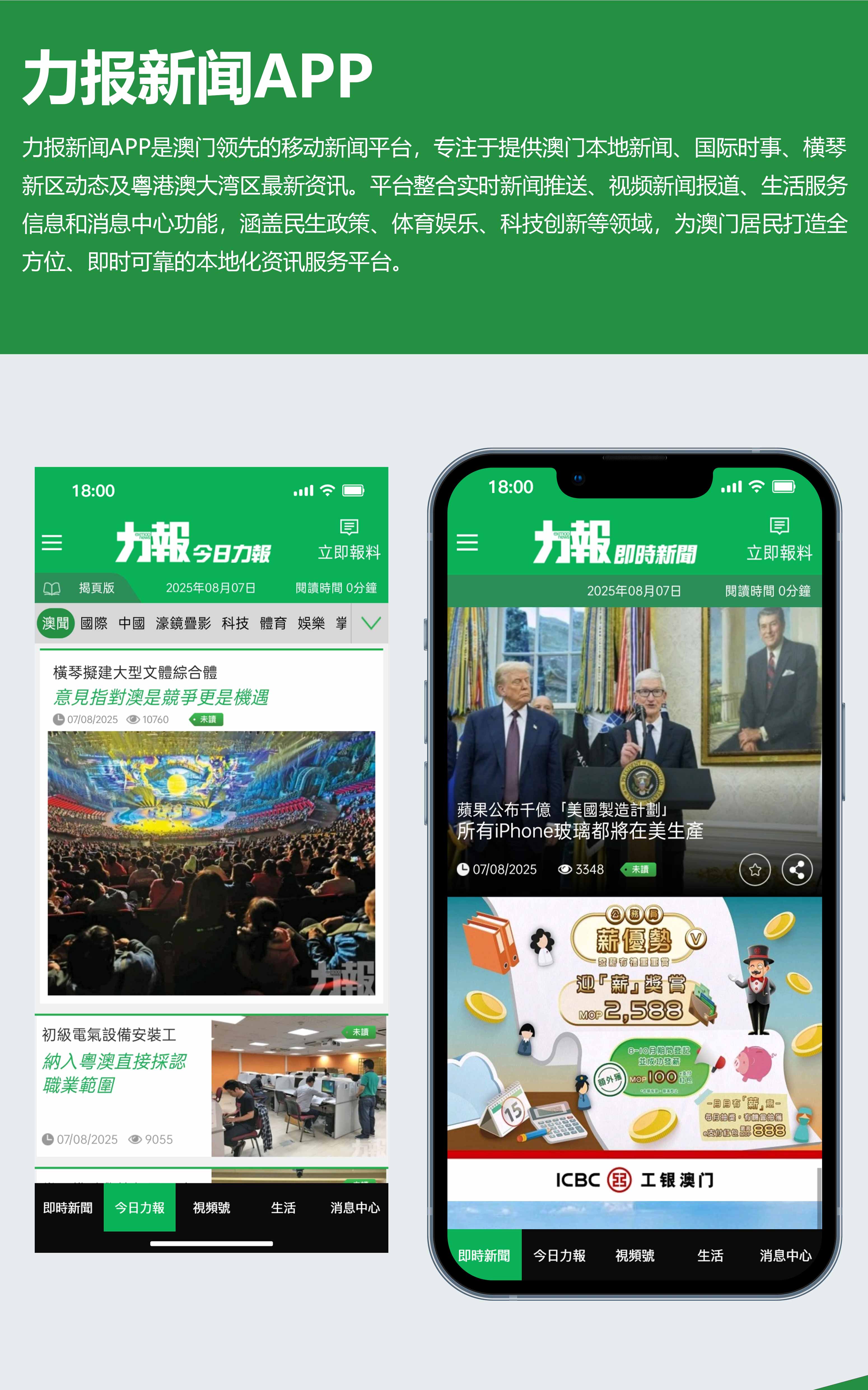 力报APP